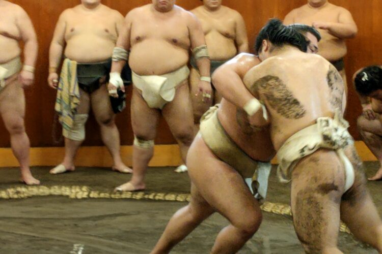 watch sumo training