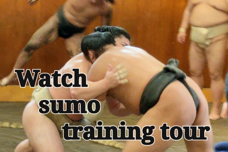 Watch sumo training tour
